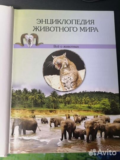 Энциклопедия о животных