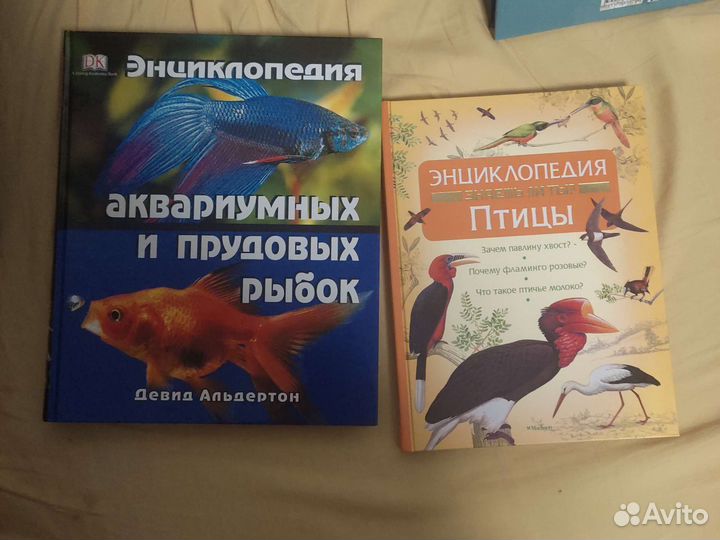 Энциклопедия для детей