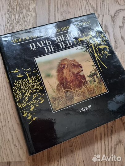 Вагнер, Шнейдерова 