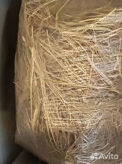 Сено луговое для грызунов