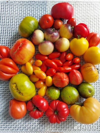 Семена томатов