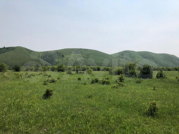 Участок 66 га (СНТ, ДНП)