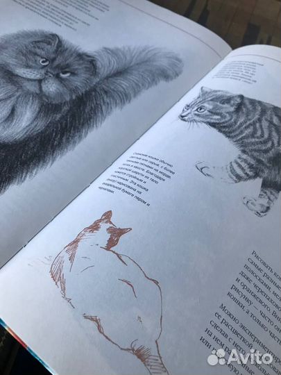 Книги по рисованию, альбом, карандаш