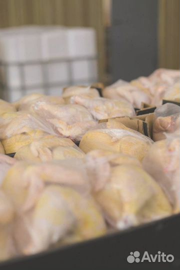 Домашний бройлер