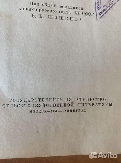 Флора средней полосы