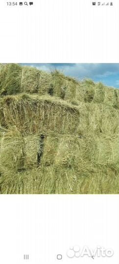 Сено в тюках