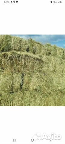 Сено в тюках