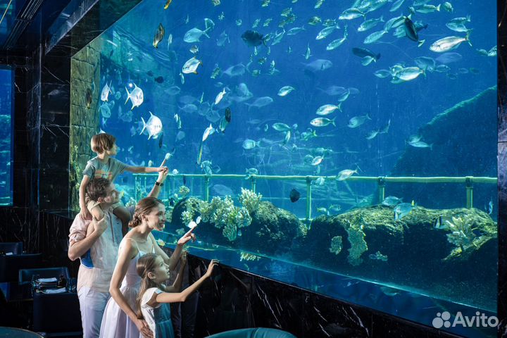 Тур в отель The Land Of Legends Kingdom