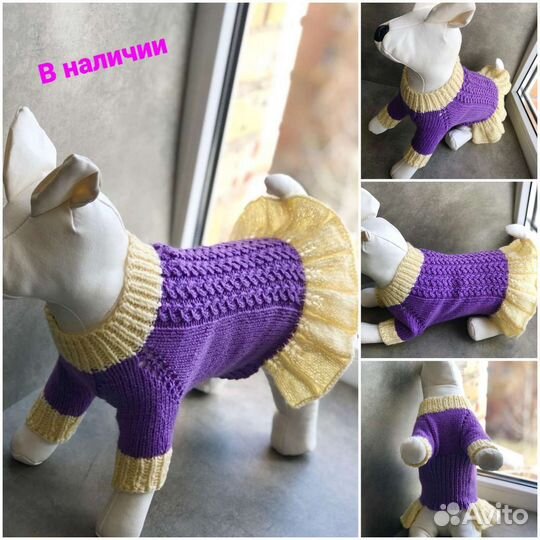 Одежда для собак