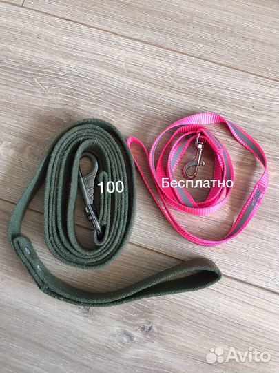 Одежда, ошейники, поводки для собак