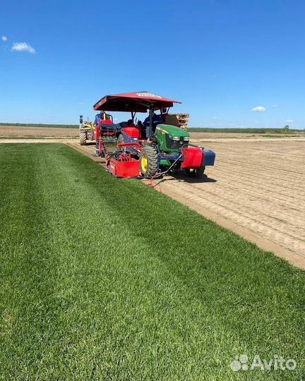 Газон и автополив. Под ключ