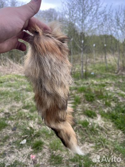 Лисий хвост натуральный