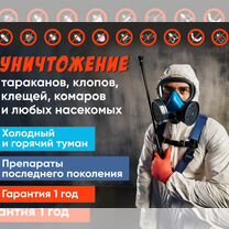 Дезинфекция,уничтожение тараканов,клопов,плесени