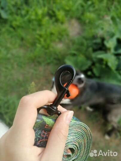 Поводок для собак