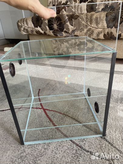 Террариум Новый