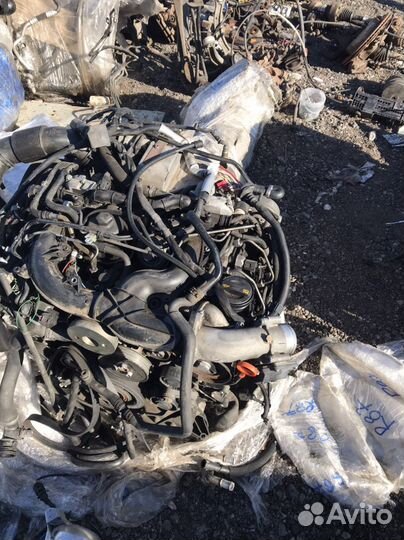 Мотор двигатель BUG Ауди q7 3.0 дизель