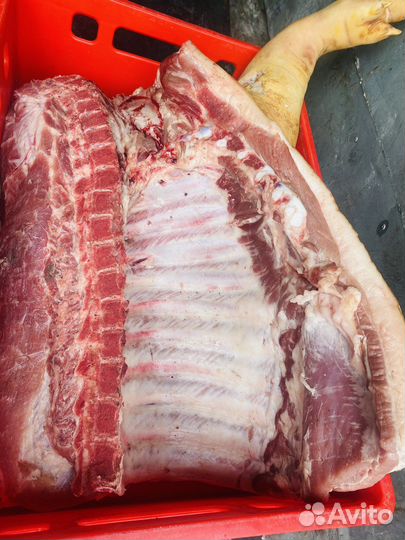 Свинина домашняя