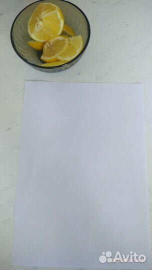 Адвокат. И на краю света тоже