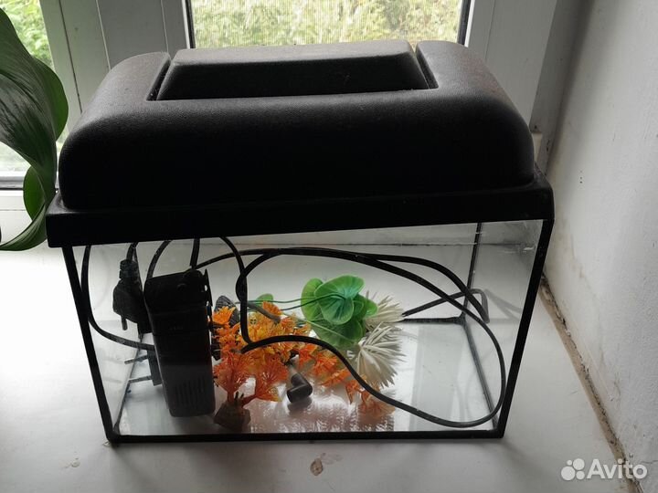 Аквариум
