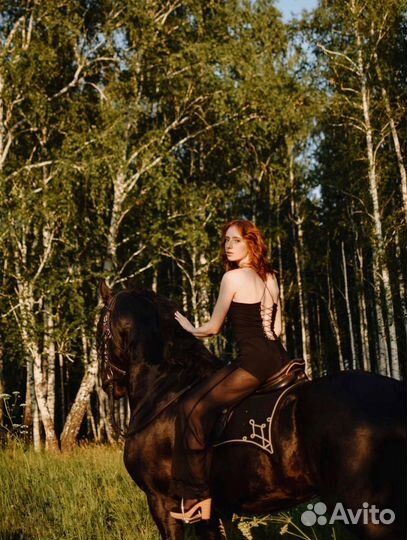 Фотосессии с животными/лошадьми/собаками