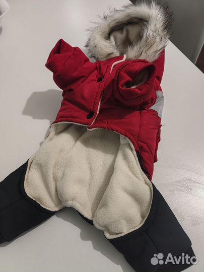 Продам комбинезон для маленькой собаки