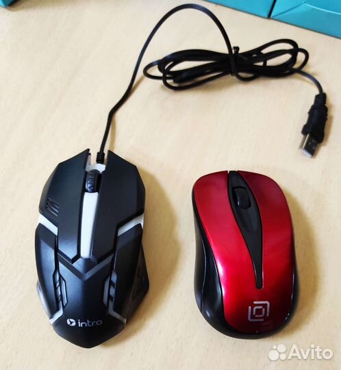 Мышки (новые)