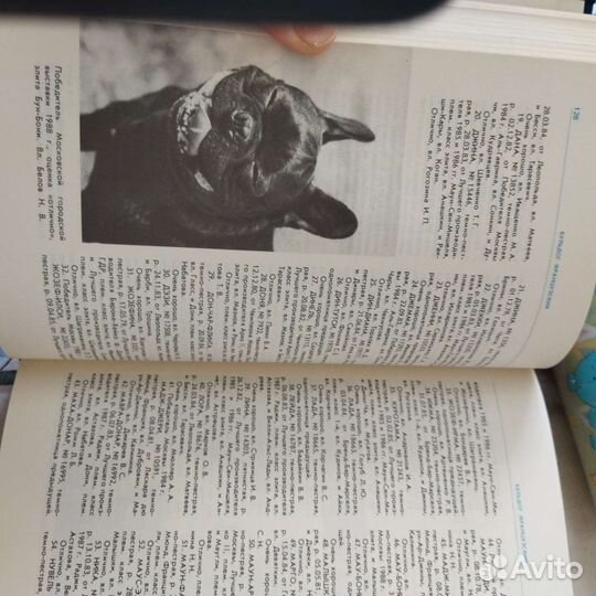 Каталог-справочник, собаководство