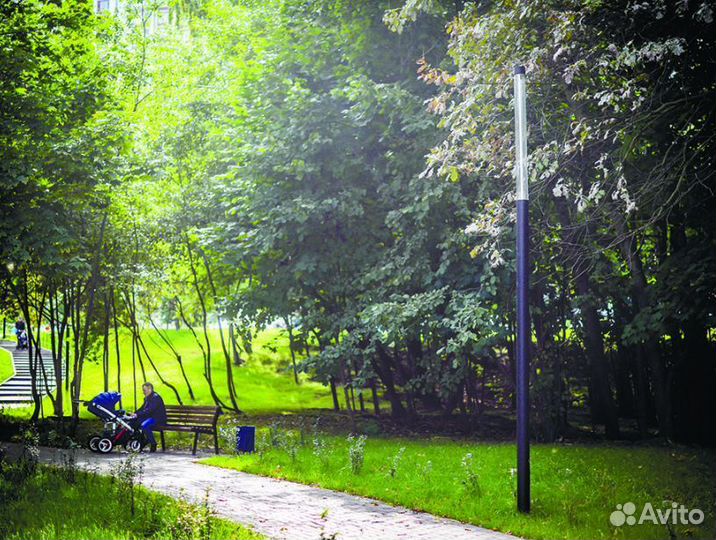 Стрит Премьер