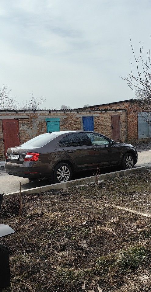 Skoda Octavia: фото владельца