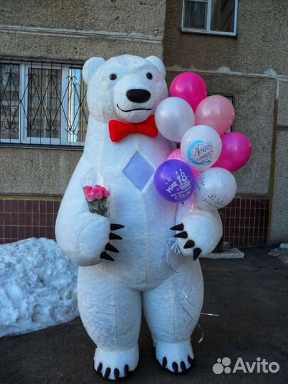 Поздравление Белого Мишки, Пневмо медведь