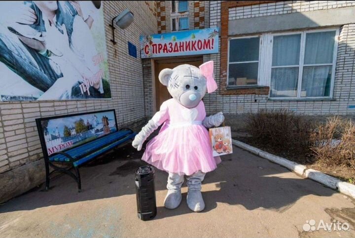 Мишка Тедди на праздник