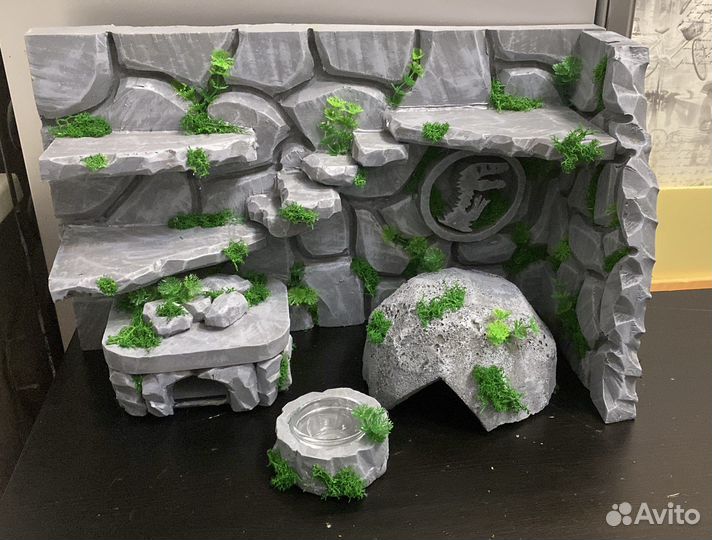 Оформление террариума «под ключ»