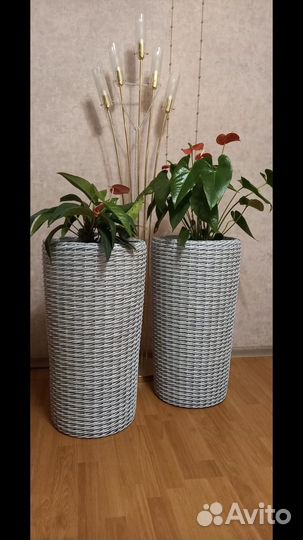 Вазоны (кашпо)