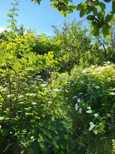 Дача 120,1 м² на участке 10 сот.