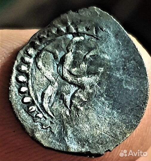 Чешуя неописанная денга вд найдена Нижегородская о