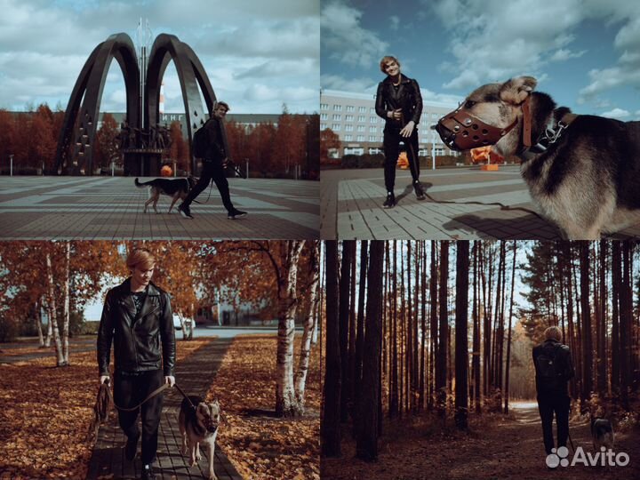 Видеосъемка видеограф видеооператор