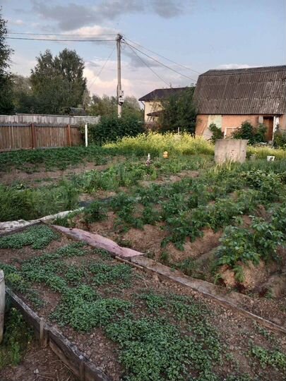 Дача 17 м² на участке 5,4 сот.