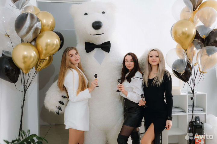 Аниматоры на день рождения мишка