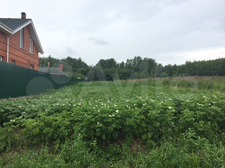 Участок 11 сот. (СНТ, ДНП)