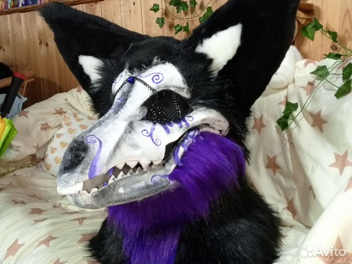 Фурсьют скалл дог