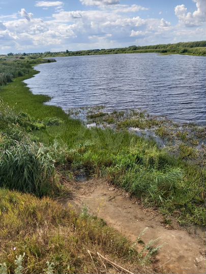 Участок 100 сот. (СНТ, ДНП)