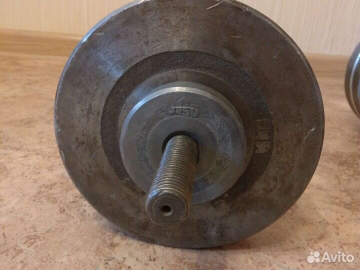 Гантели разборные