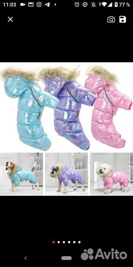 Курточка для собаки