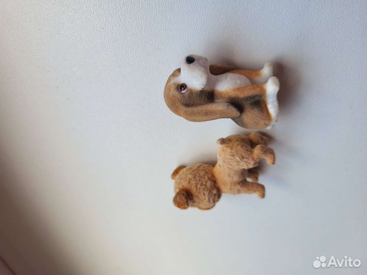 Миниатюры собак