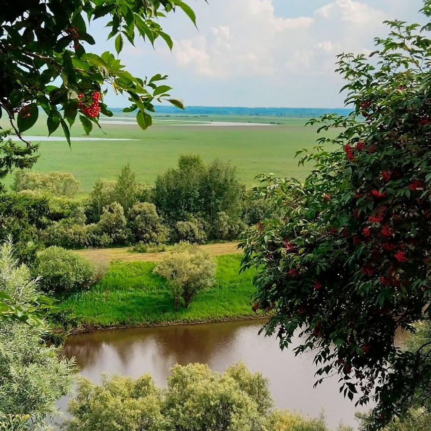 Квартира 3-комн. 54.3 м² в с. Парабель — фото 12 из 19