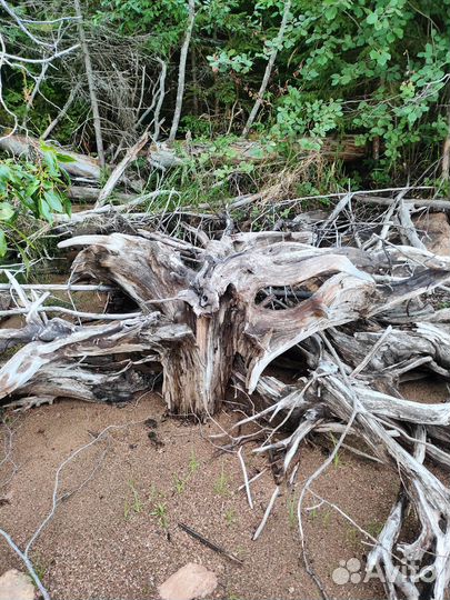 Коряги для декора