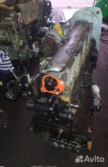 Двигатель Renault Megane 2 1.9 F9Q804