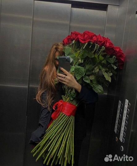 Высокие розы гиганты