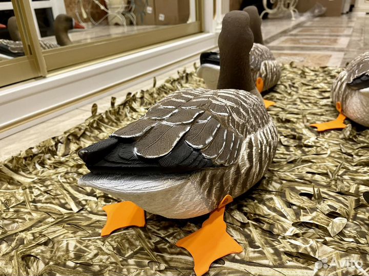 Гусей чучела