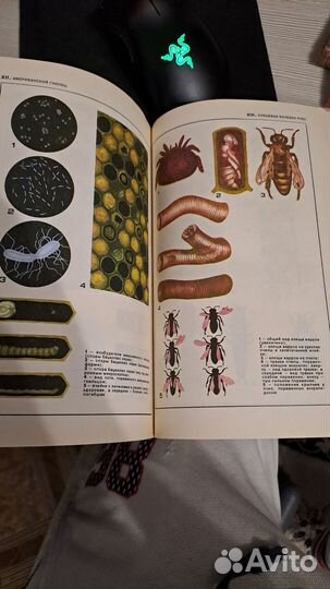 Книга пчеловодство